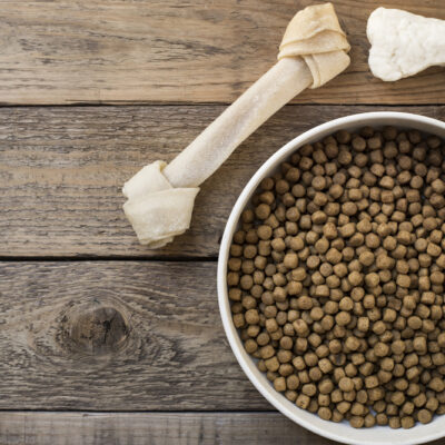 6 Popular Protein-Rich Dog Food Brands