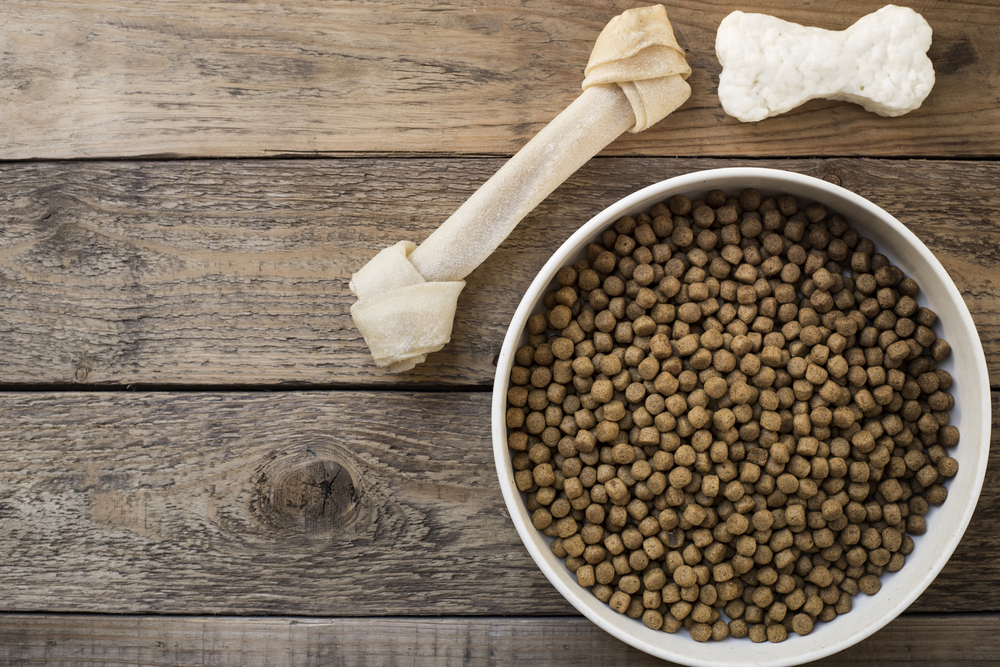 6 Popular Protein-Rich Dog Food Brands