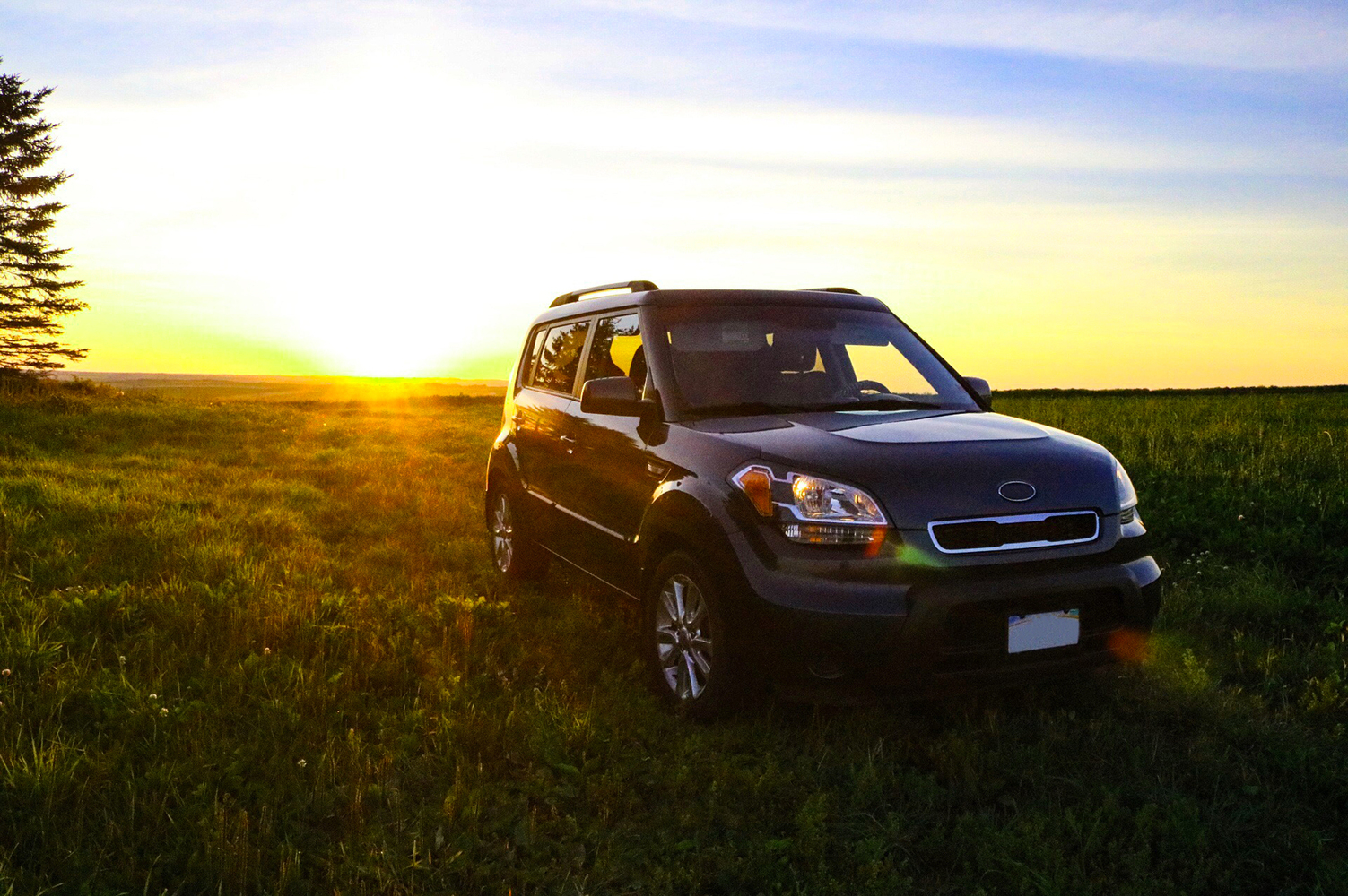 Top-Rated SUVs and Crossovers That Promise Optimum Safety